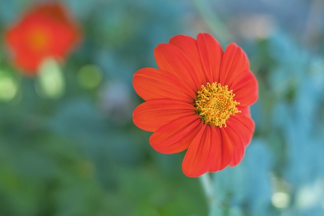 仅折射出俱 仅折射出俱