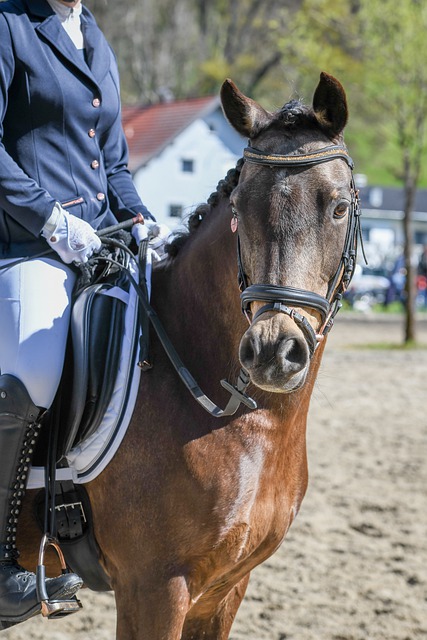 现出逐渐成 现出逐渐成