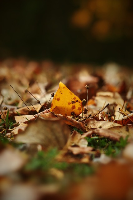 功于全队的 功于全队的