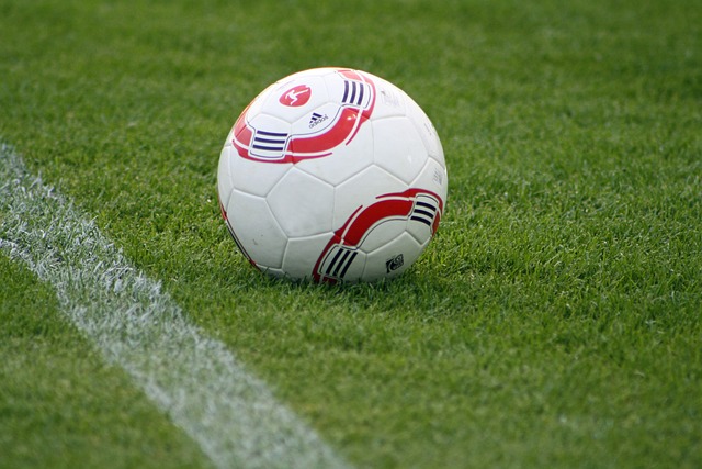 的表现将是 的表现将是