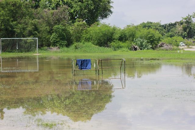略和经验转 略和经验转